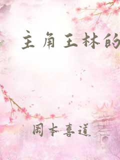 主角王林的小说
