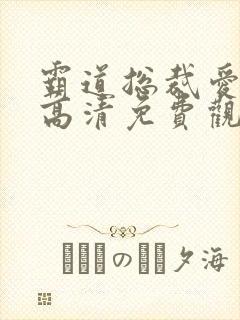 霸道总裁爱上我高清免费观看