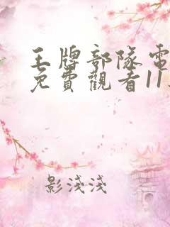 王牌部队电视剧免费观看11集