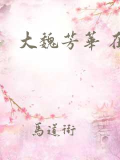 大魏芳华 在线