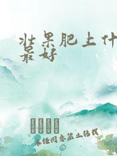 壮果肥上什么肥最好