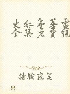 火红年华电视剧全集免费观看高清