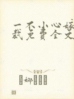 一不小心嫁了总裁免费全文阅读