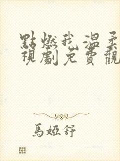 点燃我温柔你电视剧免费观看高清