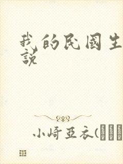 我的民国生涯小说