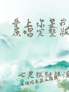 爱上你是我的错原唱完整版