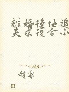 离婚后他追着前夫求复合小说