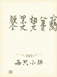 腹黑相公宠不停全文免费阅读