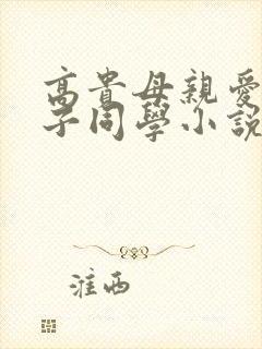 高贵母亲爱上儿子同学小说