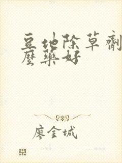 豆地除草剂用什么药好