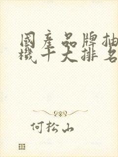 国产品牌抽油烟机十大排名