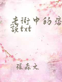 老街中的痞子小说txt