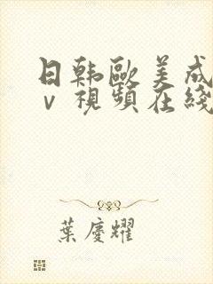 日韩欧美成人aⅴ视频在线