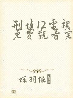 刑侦12电视剧免费观看完整版高清