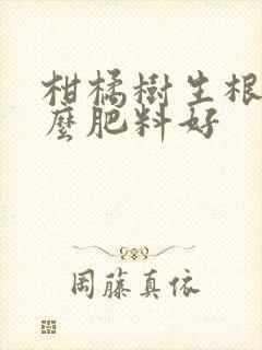 柑橘树生根用什么肥料好