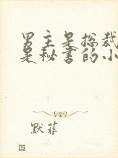 男主是总裁女主是秘书的小说