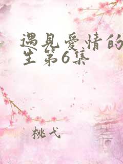 遇见爱情的利先生第6集