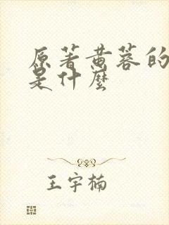 原著黄蓉的结局是什么