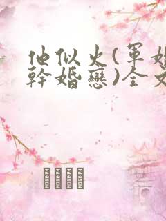 他似火(军婚高干婚恋)全文免费