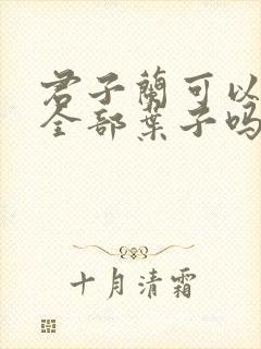 君子兰可以剪掉全部叶子吗