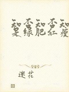 知否知否知否应是绿肥红瘦是什么花