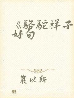 《骆驼祥子》的好句