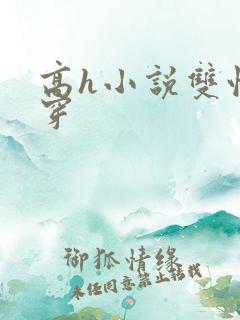 高h小说双性快穿