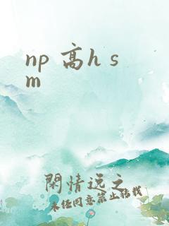 np 高h sm