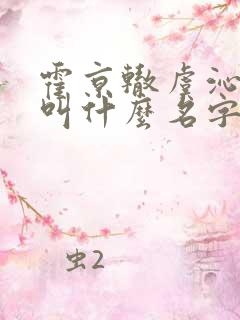 霍京辙虞沁小说叫什么名字