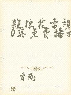 杀狼花电视剧40集免费播放