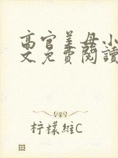 高官美母小说全文免费阅读