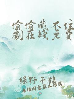 偷偷藏不住电视剧在线免费观看