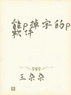 能p掉字的p图软件