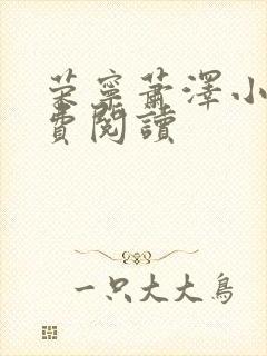 荣宁萧泽小说免费阅读