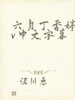 六月丁香婷婷av中文字幕