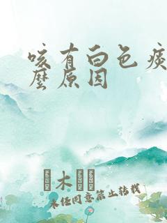 咳有白色痰是什么原因