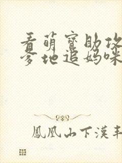 看萌宝助攻帮着爹地追妈咪