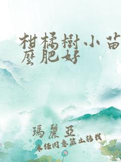 柑橘树小苗施什么肥好