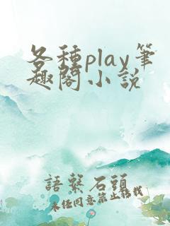 各种play笔趣阁小说