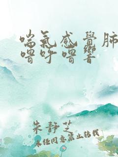 喘气感觉肺部呼噜呼噜响