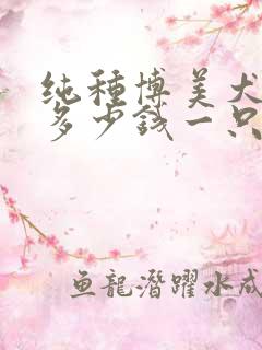 纯种博美犬价位多少钱一只