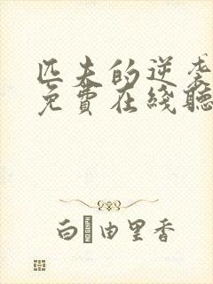 匹夫的逆袭小说免费在线听