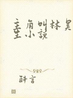 主角叫林昊的重生小说