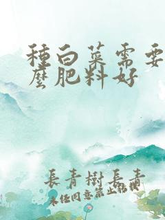 种白菜需要用什么肥料好