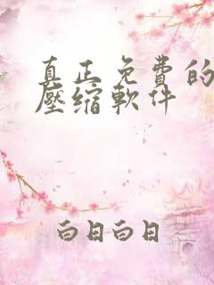 真正免费的视频压缩软件