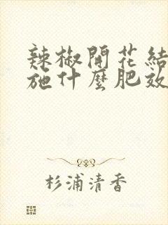 辣椒开花结果期施什么肥效果好