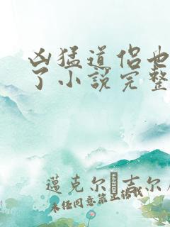 凶猛道侣也重生了小说完整版本
