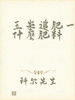 玉米追肥一般用什么肥料