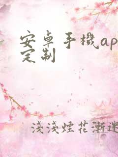 安卓手机app定制