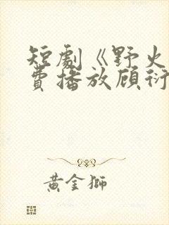 短剧《野火》免费播放顾衍